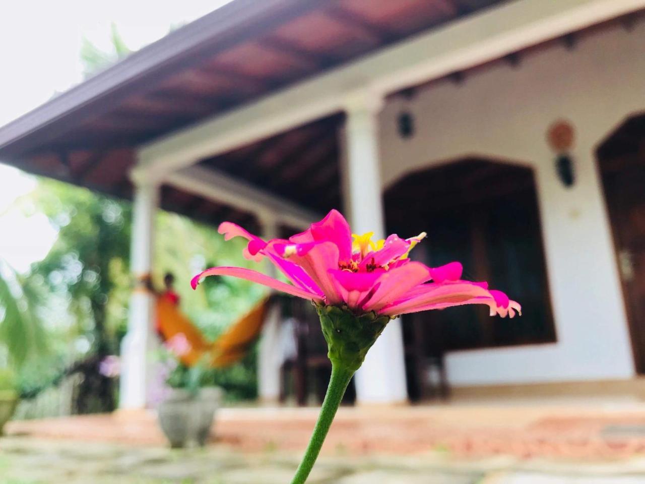 Kawshan Home Stay Dikwella Luaran gambar